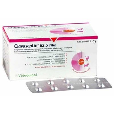 Клавасептин противоинфекционный препарат 62,5 мг 10 37364 фото