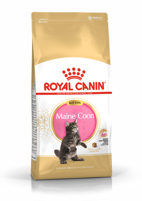 Royal Canin Kitten Maincoon для кошенят Мейн-кун від 4-15 міс 400 г 28873 фото
