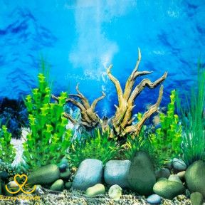 Фон односторонній для акваріума Китай 40см Довжина 25м 46299 фото