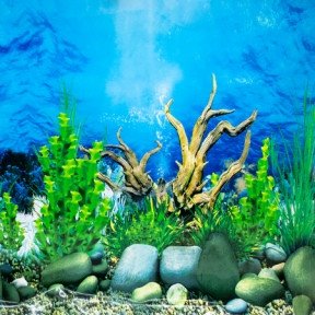 Фон односторонний для аквариума Китай 40см Длина 25м 46299 фото