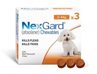 Nexgard (Нексгард) - таблетки для собак від бліх і кліщів S 2-4кг 1 таблетка 36623 фото