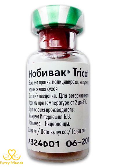 Нобівак Трикет Тріо, вакцина для кішок, Intervet Набивак Трикет ТРІО, Intervet 7434 фото