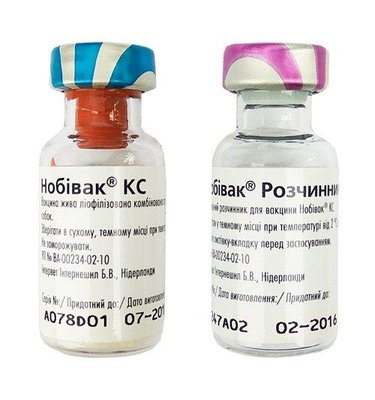Нобивак КС вакцина против бордетеллеза и парагриппа собак 15248 фото