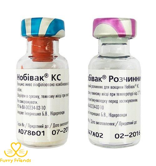 Нобівак КС вакцина проти бордетельозу і парагрипу собак 15248 фото