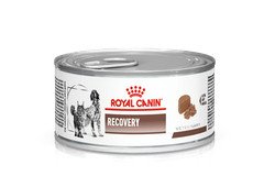 Royal Canin Recovery (Роял Канин Рекавери) консервы для собак и кошек 195 г  1390 фото