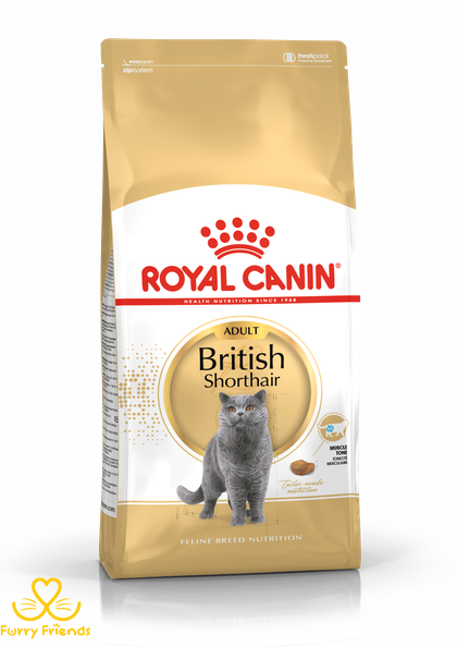 Royal Canin British Shorthair (Роял Канін) 34 для кішок породи Британська короткошерста старше 12 місяців 2 кг 100724 фото