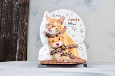 Комплект Хомячок, шлея с поводком для кошки оранжевая Объем груди 24-38 см 61849 фото