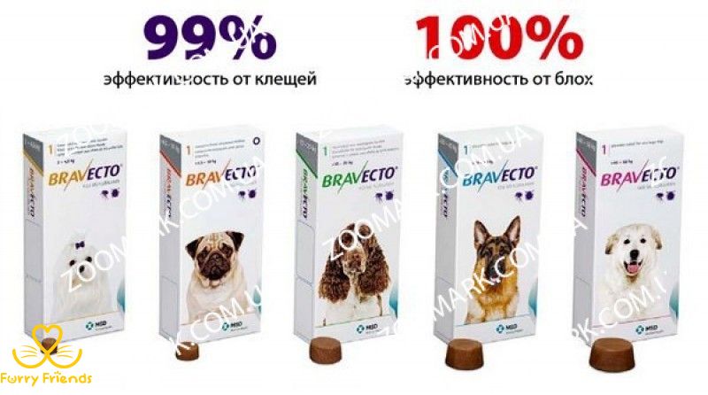 Таблетка Бравекто (Bravecto) для собак 4,5 - 10 кг 30638 фото