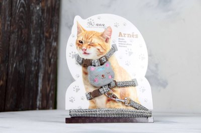 Комплект Котик, шлея с поводком для кошки меланж Объем груди 24-38 см 61851 фото