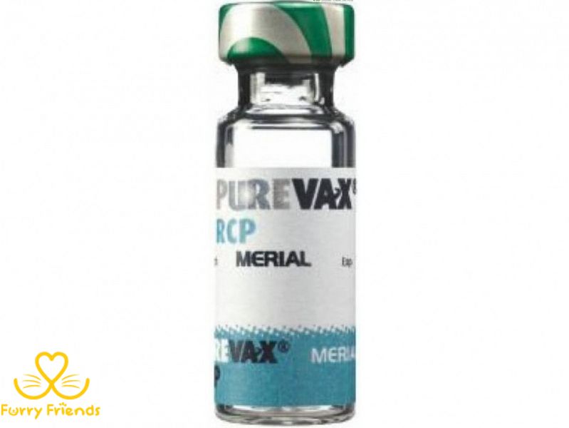 Пюревакс вакцина для кішок RCP (X10X) 65342 фото