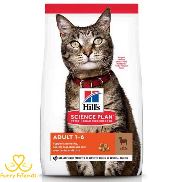 Hills (Хіллс) SP Feline Adult Lamb з ягням - Сухий корм для кішок 300 г 56520 фото