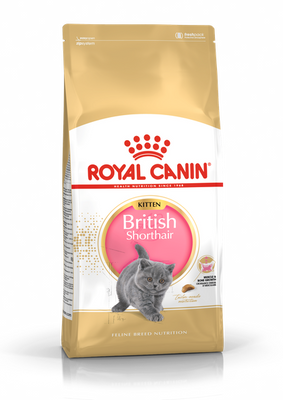 Royal Canin Kitten British Shorthair (Роял Канин) для котят породы британская короткошерстная в возрасте до 12 21665 фото
