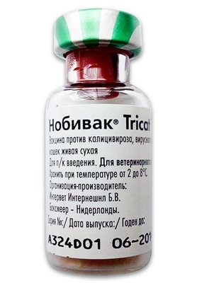 Нобівак Трикет Тріо, вакцина для кішок, Intervet (без розчинника) 7434 фото