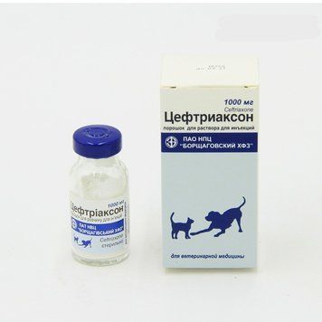 Цефтриаксон 1 гр 32202 фото