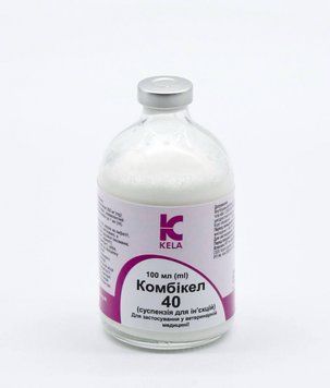 Комбикел антибиотик для лечения инфекций, 100 мл 48964 фото