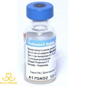 Нобивак Rabies инактивированная вакцина против бешенства, Intervet Нобивак Rabies, Intervet 1344 фото