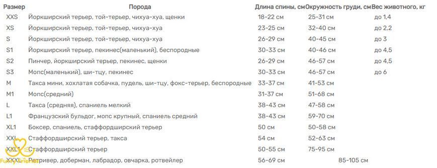 Комбинезон Модерн для собак (мальчиков) микролофт S2 мопс ( А26-29/В46-53) 41656 фото