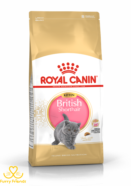 Royal Canin Kitten British Shorthair (Роял Канін) для кошенят породи британська короткошерста у віці до 12 20189 фото